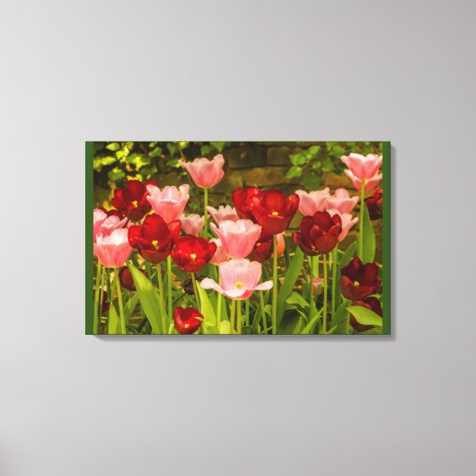 TOILE L'ÉPANOUISSEMENT DES TULIPES DANS UN PARC IMPRIMÉ (Recto)