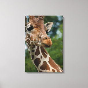 Toile Les amateurs de girafe