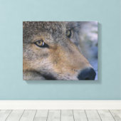 Toile Les amateurs de loups gris (Insitu (Plancher de Bois))