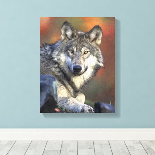 Toile Les amateurs de loups gris (Insitu (Plancher de Bois))