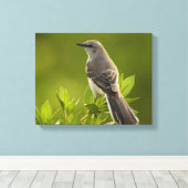 Toile Les amateurs d'oiseaux de Mockingbird (Insitu (Plancher de Bois))