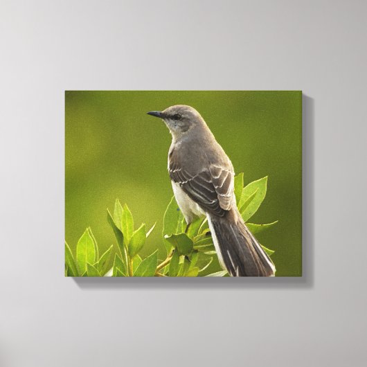 Toile Les amateurs d'oiseaux de Mockingbird (Recto)