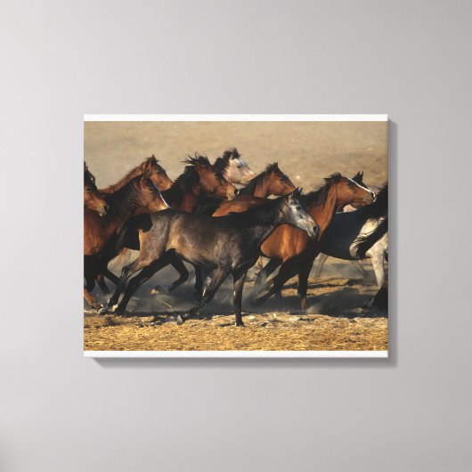Toile Les Arabes qui courent dans le désert (Recto)