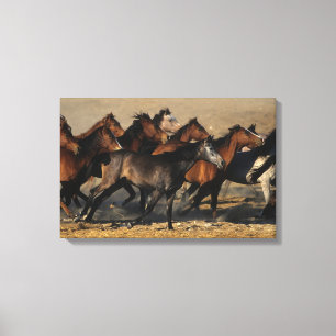 Toile Les Arabes qui courent dans le désert
