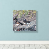 Toile Les canards à bois protègent la faune (Insitu (Plancher de Bois))