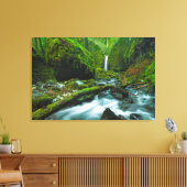 Toile Les cascades | Grotto Falls, Oregon (Insitu(Salon))