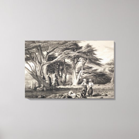 Toile Les Cèdres du Liban, gravés par Freeman (sépia (Recto)