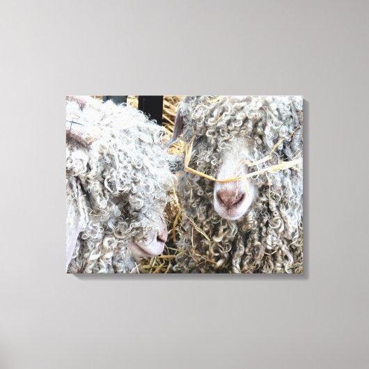 TOILE LES CHÈTES FRAÎCHES (Recto)