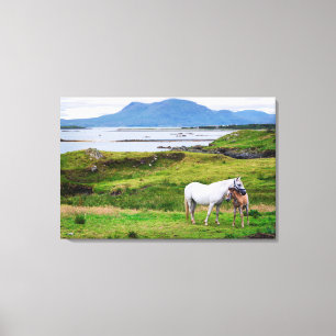 Toile Les Chevaux du Connemara   Galway, Irlande