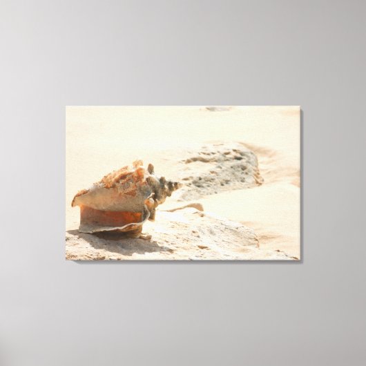 Toile Les Coquillages Sur La Plage (Recto)