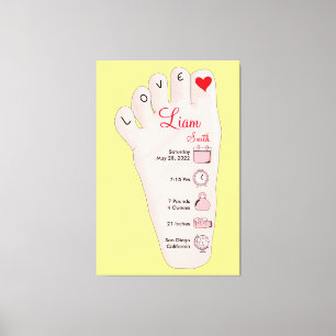 Toile Les détails de Birth Stats