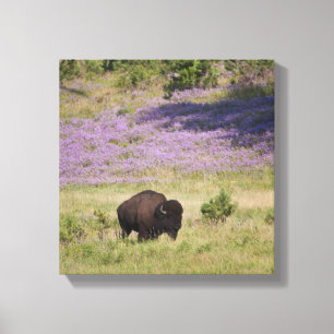 Toile Les Etats-Unis, le Dakota du Sud, bison américain