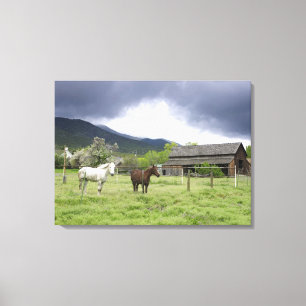 Toile Les Etats-Unis, Utah, chevaux sur le ranch