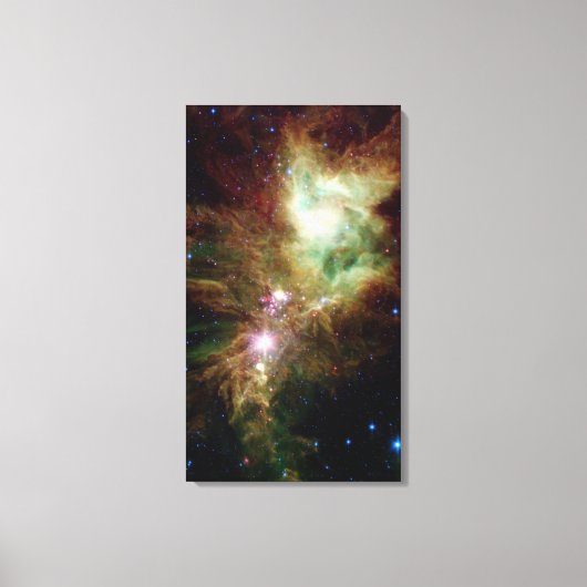 Toile Les étoiles nouveau-nées dans la grappe d'arbres d (Recto)