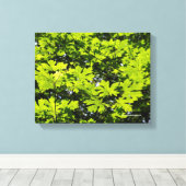 Toile Les Feuilles de la forêt (Insitu (Plancher de Bois))