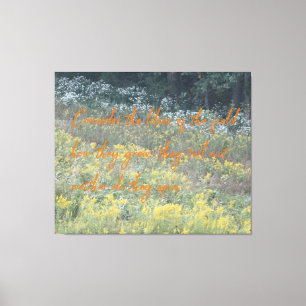 Toile Les fleurs du champ ne s'enfoncent pas sur un