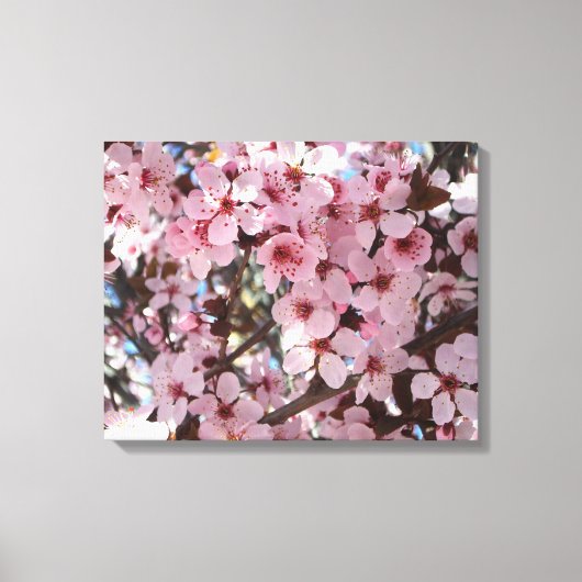 Toile Les fleurs roses sur l'arbre à fleurs ornemental (Recto)