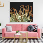 Toile Les graines de Cocklebur (Xanthium) utilisent des  (Insitu(Salon))