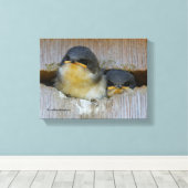 Toile Les hirondelles d'arbre regardent le grand monde (Insitu (Plancher de Bois))
