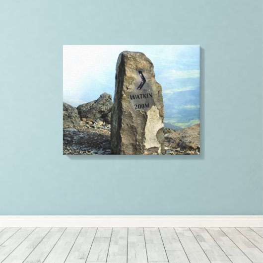 TOILE LES MONTAGNES (Insitu (Plancher de Bois))