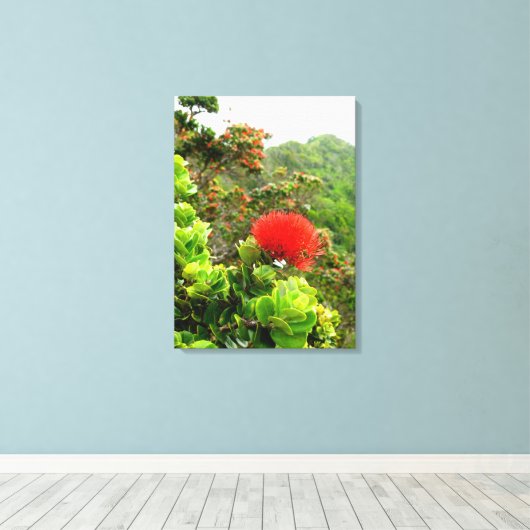 Toile Les monts Koolau (Insitu (Plancher de Bois))