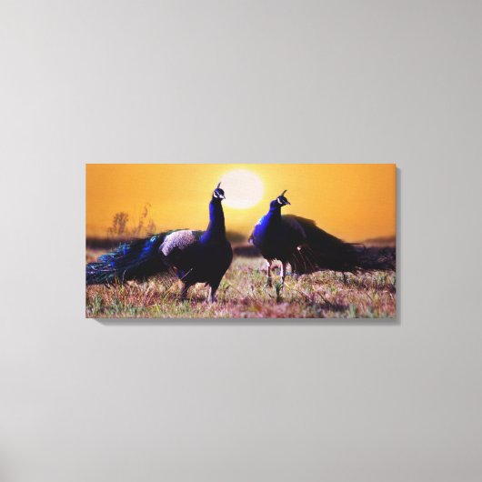 Toile Les paons bleus (Recto)