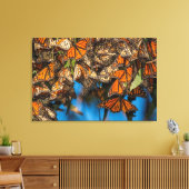Toile Les papillons monarques migrateurs s'accrochent au (Insitu(Salon))