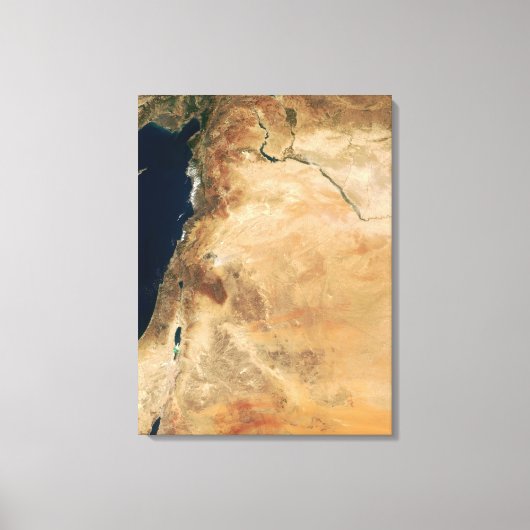 Toile Les terres d'Israël le long de la côte est (Recto)