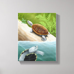 Toile Les tortues de terrapin de dos en forme de losange