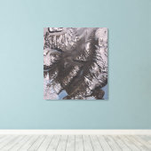 Toile Les vallées sèches McMurdo (Insitu (Plancher de Bois))