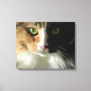 Toile Les yeux du chat