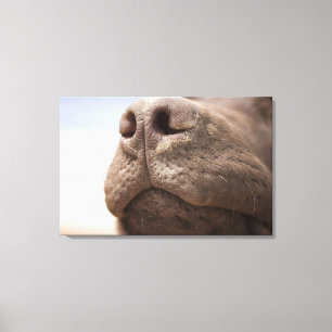 Toile L'Espagne, Blanca de côte, plan rapproché de