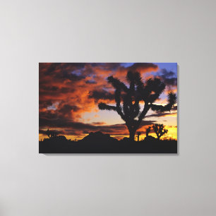 Toile Lever de soleil spectaculaire à Joshua Tree Nation
