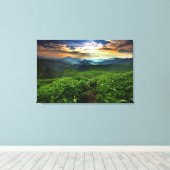 Toile Lever de soleil sur la ferme de thé (Insitu (Plancher de Bois))