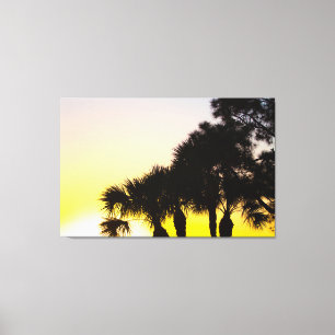 Toile Lever de soleil sur palmetto et pins, Port St Luci