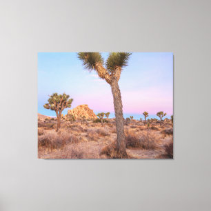 Toile Lever du soleil des arbres Joshua