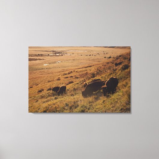 Toile Lever du soleil sur le bison (Recto)