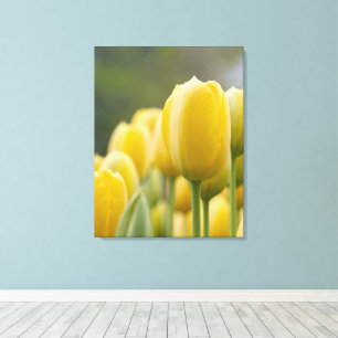 Toile Levez la tulipe