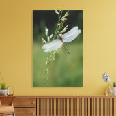 Toile Libellule Darner couverte de rosée (Insitu(Salon))