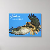 Toile Liberté du ciel Faucon à queue rouge (Recto)