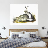 Toile Lièvre des Rocheuses ou lapin à queue blanche (Insitu(Chambre))
