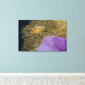 Toile Life sous-marine; POISSON : Poisson clown (rose (Insitu (Plancher de Bois))