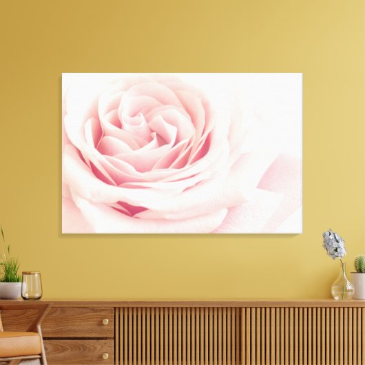 Toile Light Pink Rose Flower (Insitu(Salon))