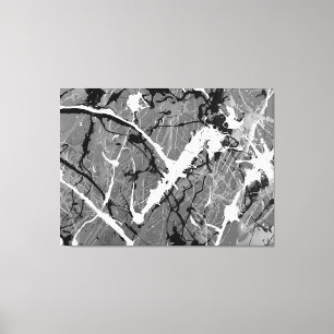 Toile LII NOIR ET BLANC - Peinture d'action -Abstrait-