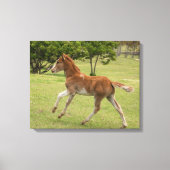 Toile L'île de Pâques aka Rapa Nui (Recto)