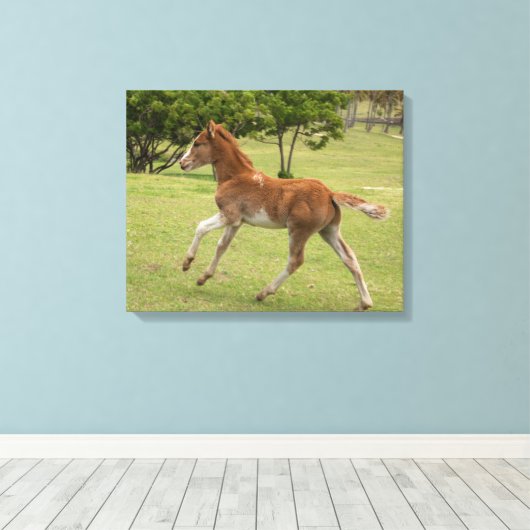 Toile L'île de Pâques aka Rapa Nui (Insitu (Plancher de Bois))