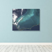Toile L'île longue et étroite d'Eleuthra aux Bahamas (Insitu (Plancher de Bois))