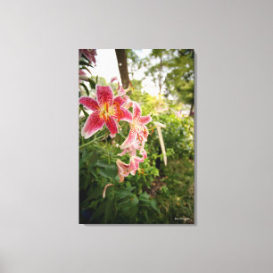Toile Lillies rose