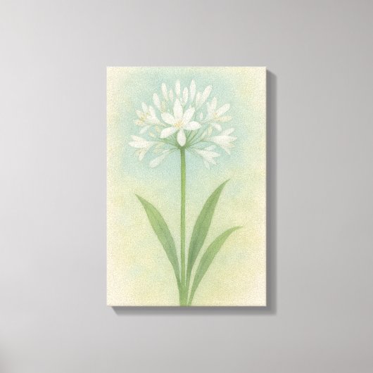 Toile Lily du Nil (Recto)