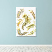 Toile Limaces de mer par Ernst Haeckel, Nudibranches vin (Insitu (Plancher de Bois))